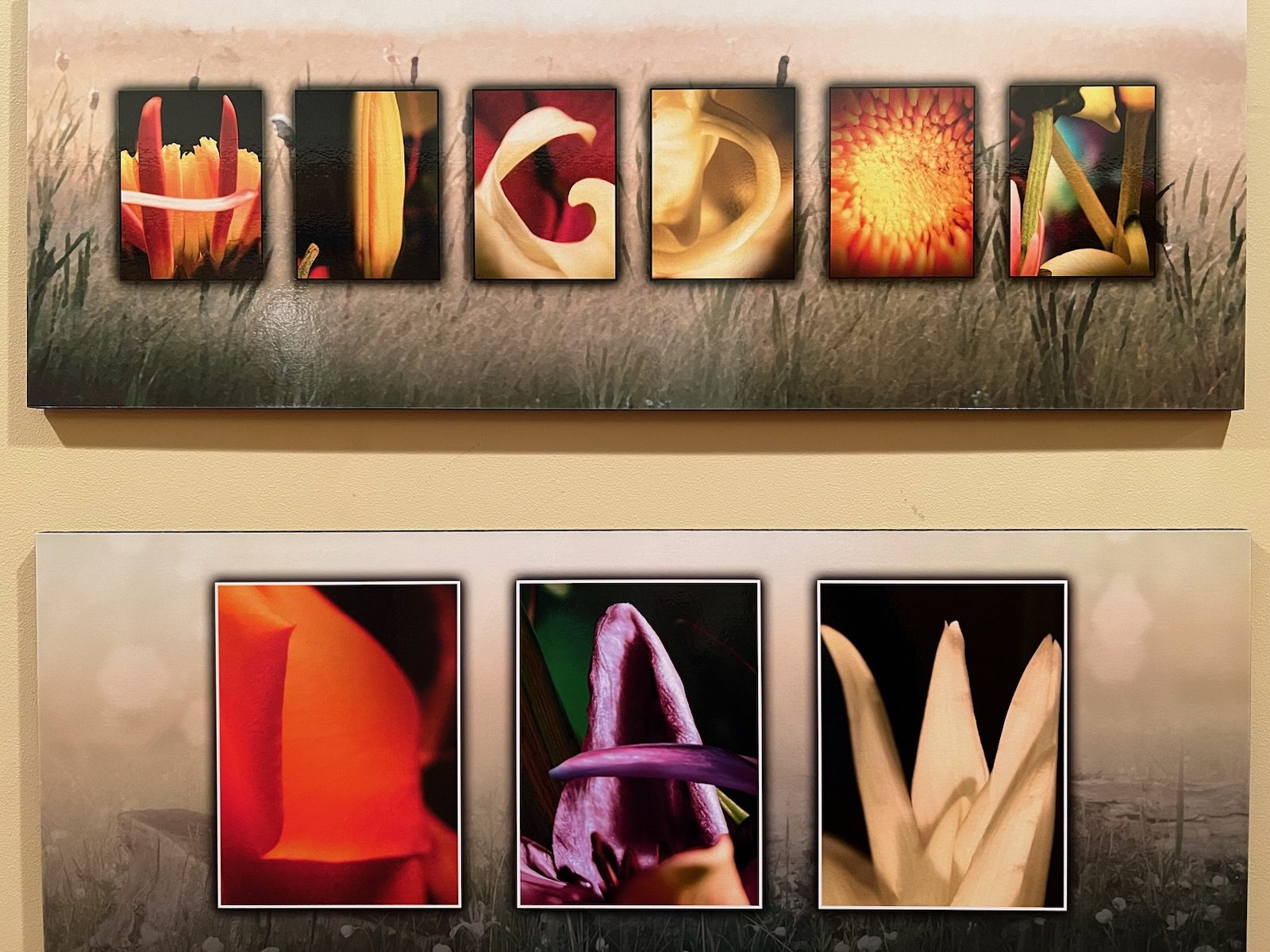 Higdon Law art
